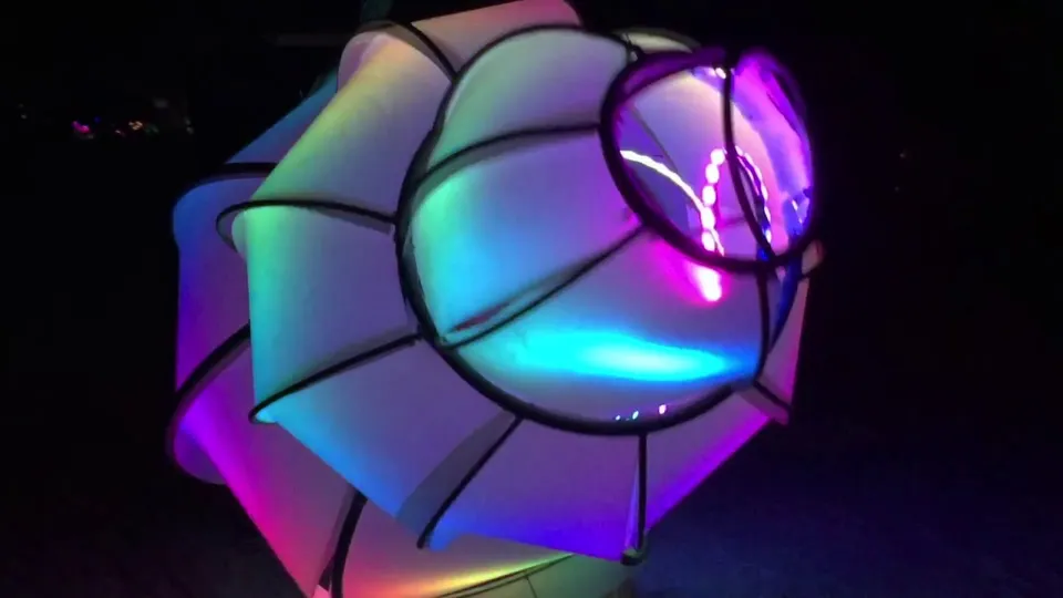 Close-up of Shelly the Crab’s shell glowing turquoise, purple, and pink at night